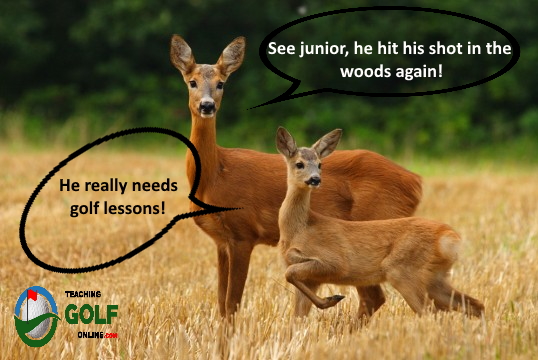 deer1 - teaching golf online